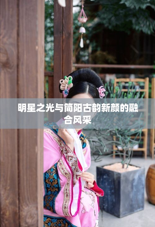 明星之光与简阳古韵新颜的融合风采
