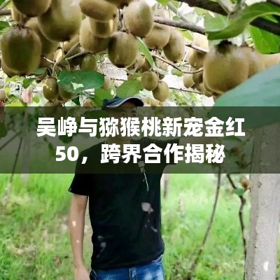 吴峥与猕猴桃新宠金红50,跨界合作揭秘