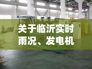 关于临沂实时雨况、发电机价格与图片的解读