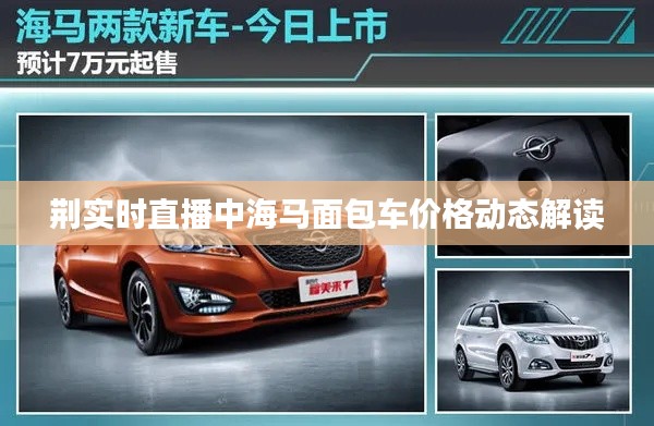 荆实时直播中海马面包车价格动态解读