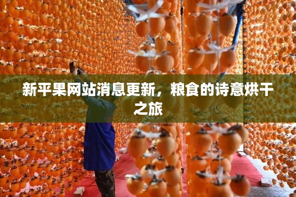 新平果网站消息更新,粮食的诗意烘干之旅
