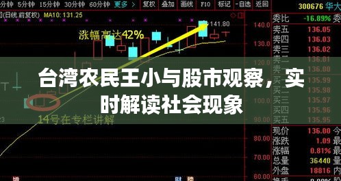 台湾农民王小与股市观察，实时解读社会现象