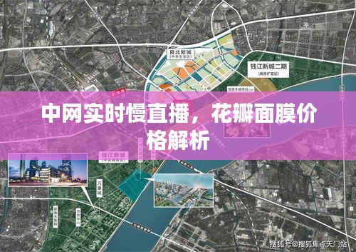 中网实时慢直播,花瓣面膜价格解析