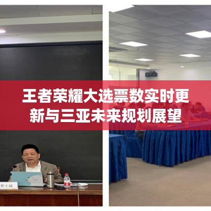 王者荣耀大选票数实时更新与三亚未来规划展望