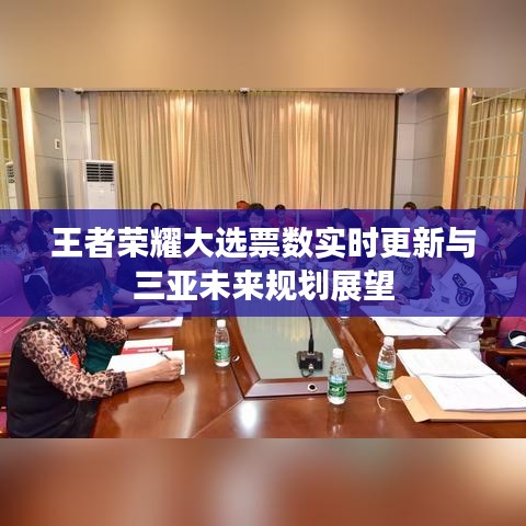 王者荣耀大选票数实时更新与三亚未来规划展望