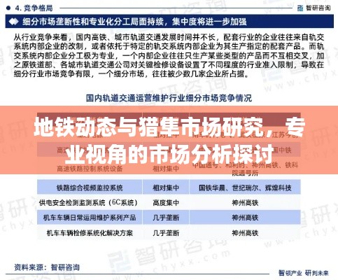 地铁动态与猎隼市场研究,专业视角的市场分析探讨