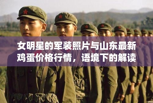 女明星的军装照片与山东最新鸡蛋价格行情,语境下的解读与警示