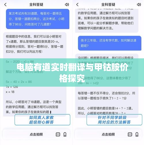 电脑有道实时翻译与甲钴胺价格探究