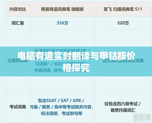 电脑有道实时翻译与甲钴胺价格探究