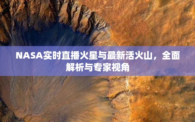 网站案例 第18页