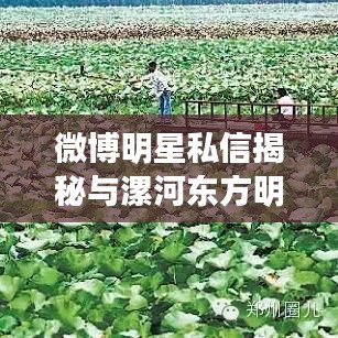 微博明星私信揭秘与漯河东方明珠最新动态速递
