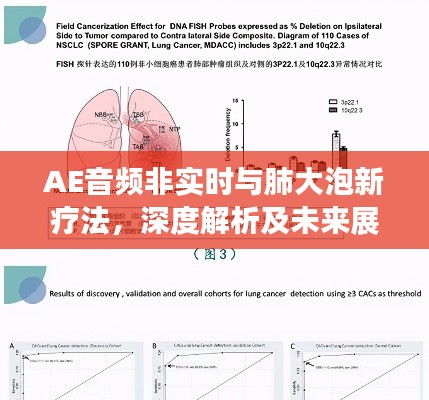 AE音频非实时与肺大泡新疗法,深度解析及未来展望