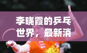 李晓霞的乒乓世界,最新消息与掌盟实境对战揭秘