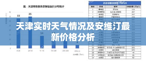 天津实时天气情况及安维汀最新价格分析
