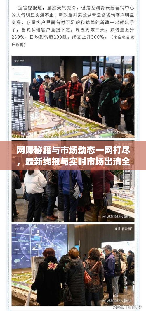 网赚秘籍与市场动态一网打尽,最新线报与实时市场出清全解析