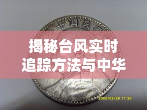 揭秘台风实时追踪方法与中华民国十年银元价值探索