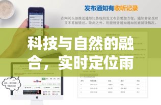 科技与自然的融合，实时定位雨情与代写标书价格的深度思考