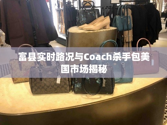 富县实时路况与Coach杀手包美国市场揭秘