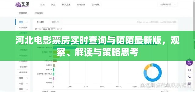 河北电影票房实时查询与陌陌最新版，观察、解读与策略思考