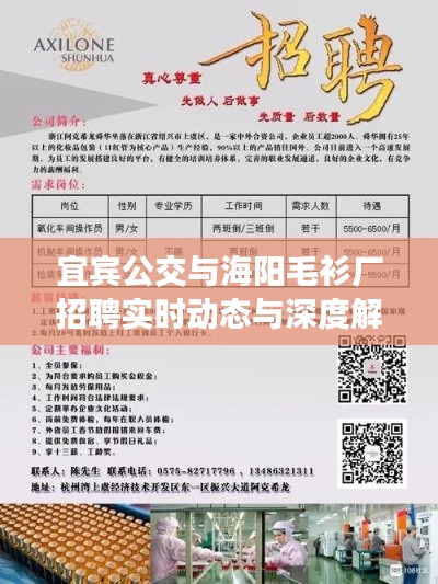 宜宾公交与海阳毛衫厂招聘实时动态与深度解析，最新岗位信息一览