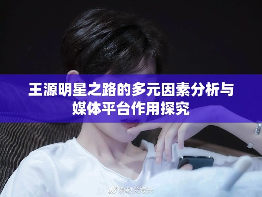 王源明星之路的多元因素分析与媒体平台作用探究