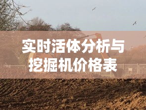 实时活体分析与挖掘机价格表——正本清源、务实指导与打假警示