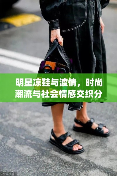 明星凉鞋与渡情,时尚潮流与社会情感交织分析