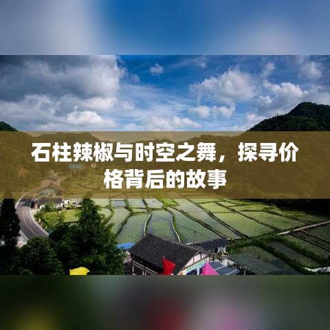 石柱辣椒与时空之舞,探寻价格背后的故事