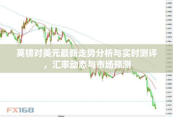 心得分享 第11页