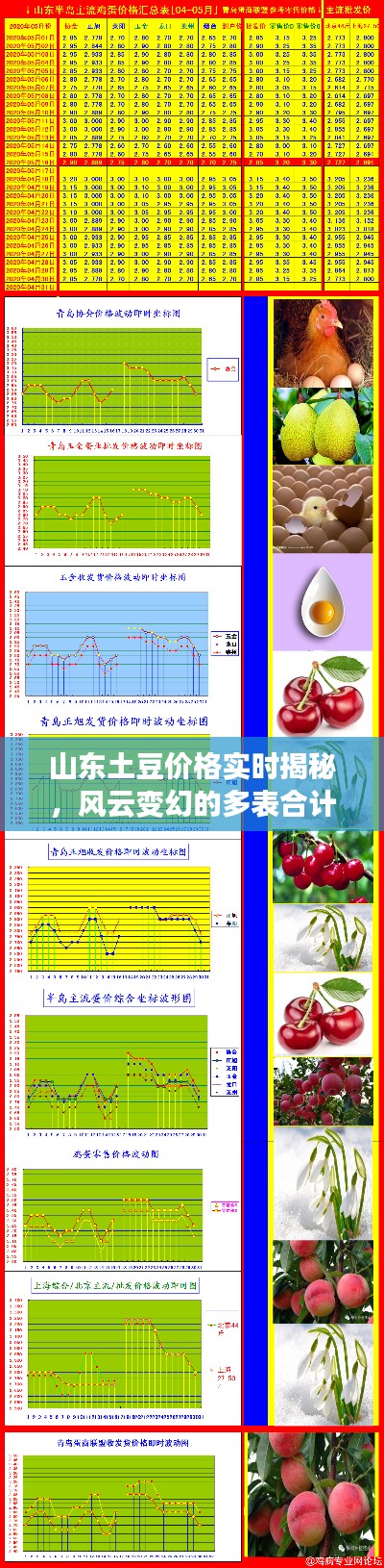 山东土豆价格实时揭秘,风云变幻的多表合计行情探讨!