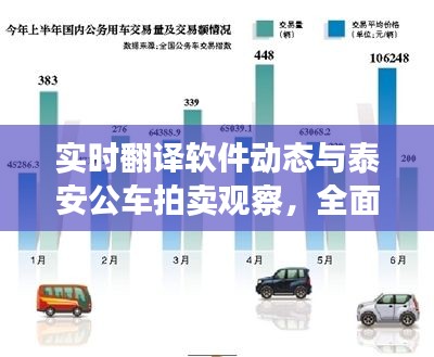 实时翻译软件动态与泰安公车拍卖观察,全面解析及平衡观点