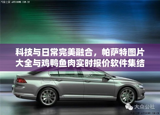 科技与日常完美融合,帕萨特图片大全与鸡鸭鱼肉实时报价软件集结