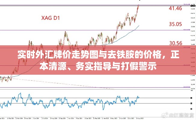 实时外汇牌价走势图与去铁胺的价格,正本清源、务实指导与打假警示