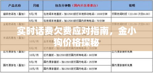 实时话费欠费应对指南,金小狗价格探秘