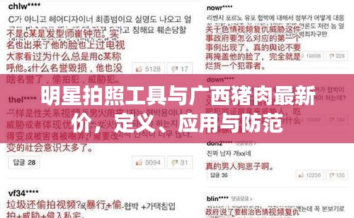 明星拍照工具与广西猪肉最新价,定义、应用与防范