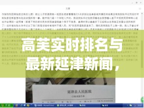 高芙实时排名与最新延津新闻,社会观察者的独特视角解读