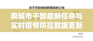 麻城市干部最新任命与实时疫情防控数据更新通报