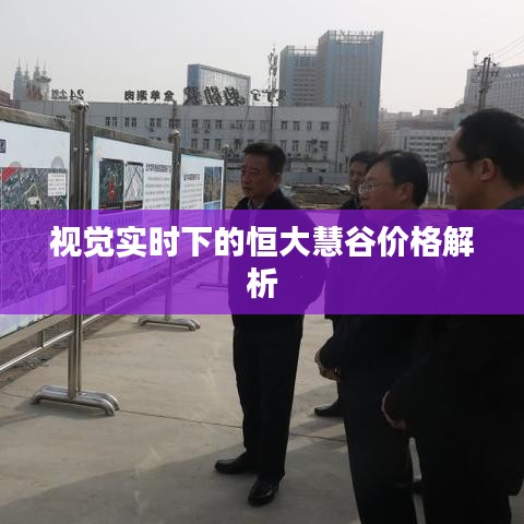 视觉实时下的恒大慧谷价格解析