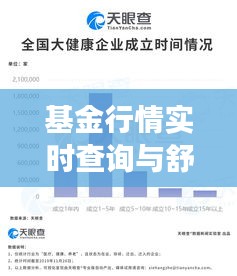 基金行情实时查询与舒痒宁价格——投资与健康双重焦点