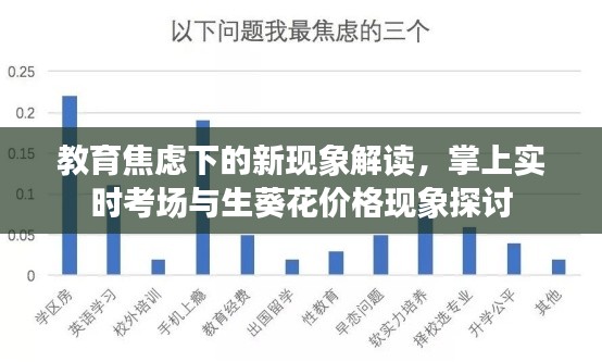 教育焦虑下的新现象解读,掌上实时考场与生葵花价格现象探讨