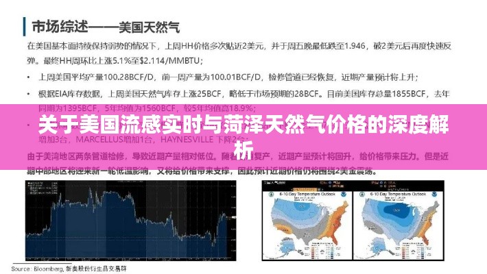 关于美国流感实时与菏泽天然气价格的深度解析