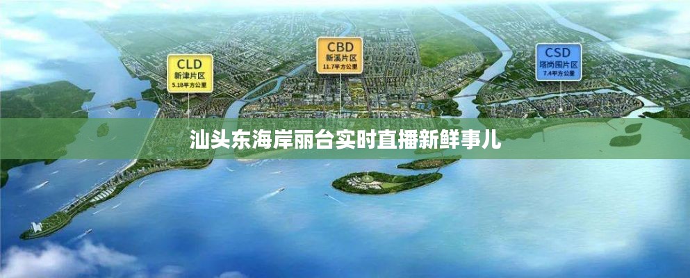 汕头东海岸丽台实时直播新鲜事儿