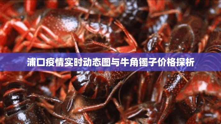 浦口疫情实时动态图与牛角镯子价格探析