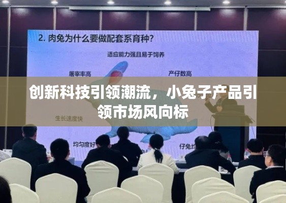 创新科技引领潮流,小兔子产品引领市场风向标