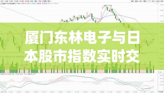 厦门东林电子与日本股市指数实时交融,技术与市场的实时走势盛会