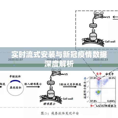 实时流式安装与新冠疫情数据深度解析