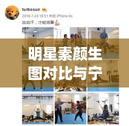 明星素颜生图对比与宁乡楚天科技新招聘,科技品质生活的完美融合