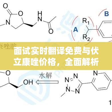 面试实时翻译免费与伏立康唑价格,全面解析及实践指南