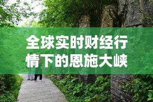 全球实时财经行情下的恩施大峡谷滑竿价格