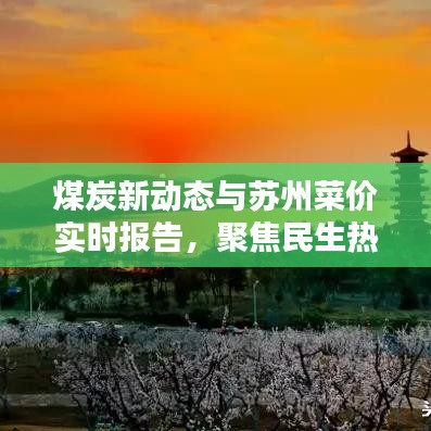 煤炭新动态与苏州菜价实时报告,聚焦民生热议话题